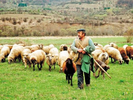 Τίτλοι τέλους για την κτηνοτροφία