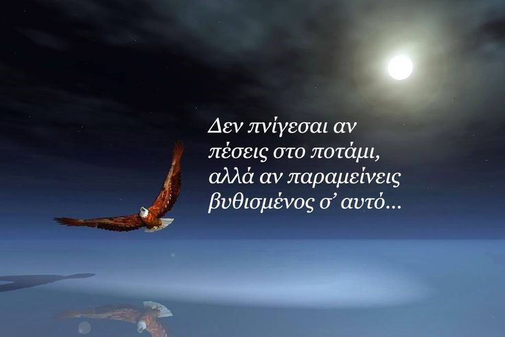 Η  ελπίδα είναι το όνειρο που αρνήθηκε να κοιμηθεί