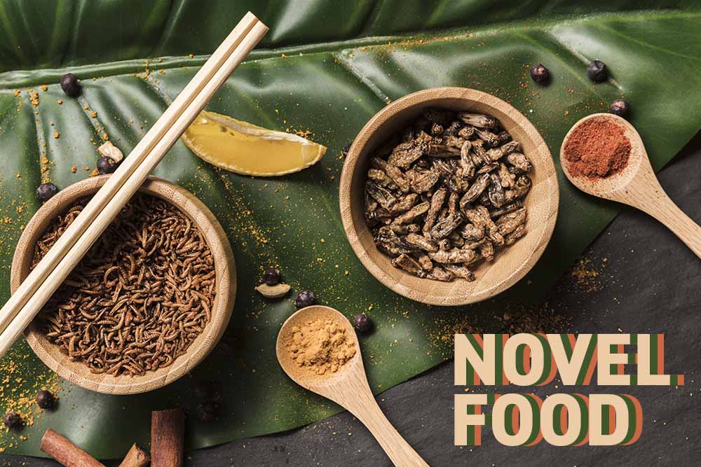 Novel Food