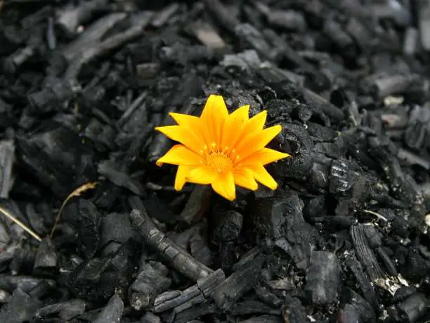 ΟΙ ΛΙΓΟΙ ΦΕΡΝΟΥΝ ΤΗΝ ΑΛΛΑΓΗ