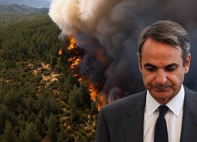 Στάχτη και μπούρμπερη