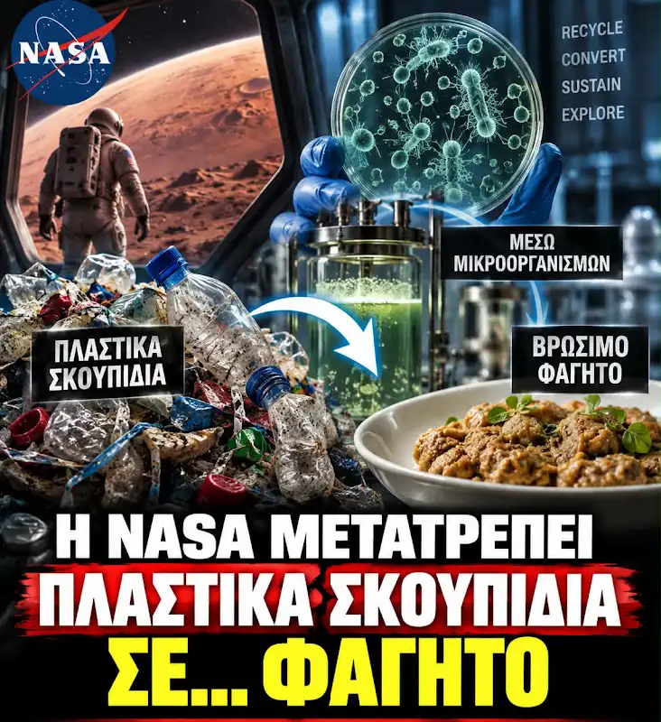 Τροφή από σκουπίδια