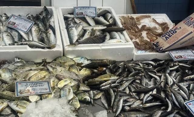 Ολοκληρωμένο Σύστημα Παρακολούθησης Αλιείας